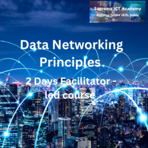 Data Networking Principles